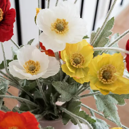 Queens Courtyard By Daniel&jacob's