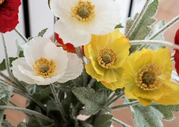 Queens Courtyard By Daniel&jacob's